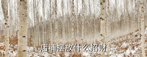 門店風水怎樣招財，店面風水招財運有什么絕招