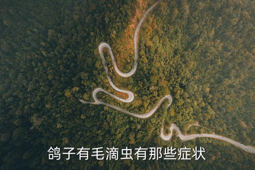 鴿子有毛滴蟲有那些癥狀
