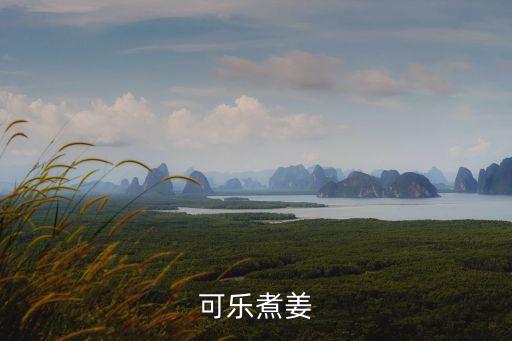可樂煮姜