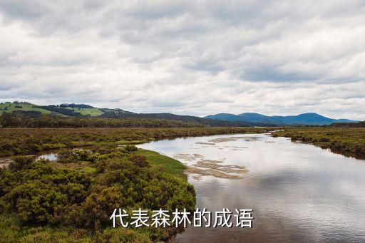 代表森林的成語(yǔ)
