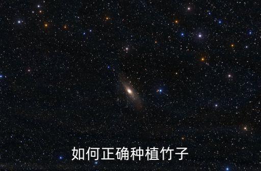 如何正確種植竹子