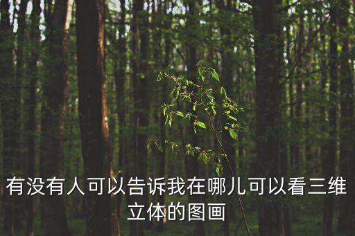三維圖片，怎么樣才能看出來三維圖像