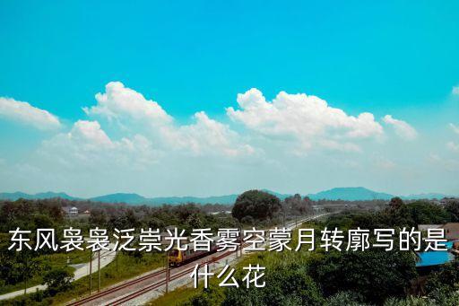 海棠春塢，蘇州拙政園 海棠春塢景點 中幾組小景的植物配置是怎樣的