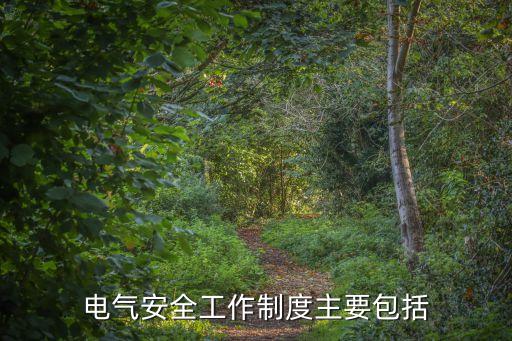 用電安全管理制度，電氣安全工作制度主要包括
