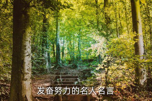 努力的名人名言，關(guān)于努力的名言