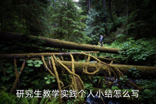 研究生教學(xué)實(shí)踐個(gè)人小結(jié)怎么寫