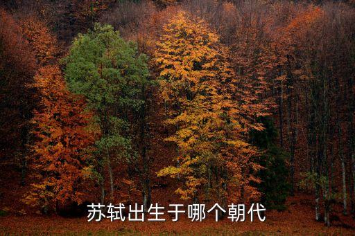 蘇軾是哪個朝代的詩人，蘇軾是哪個朝代詩人