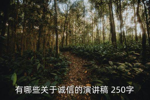 關于誠信的演講，有哪些關于誠信的演講稿 250字