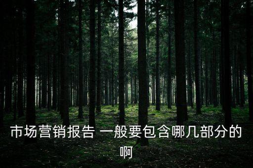 市場營銷報(bào)告 一般要包含哪幾部分的啊