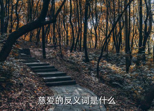 慈愛的反義詞，慈愛的反義詞是什么