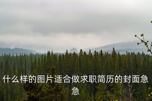簡歷封面圖片簡潔，什么樣的圖片適合做求職簡歷的封面急急