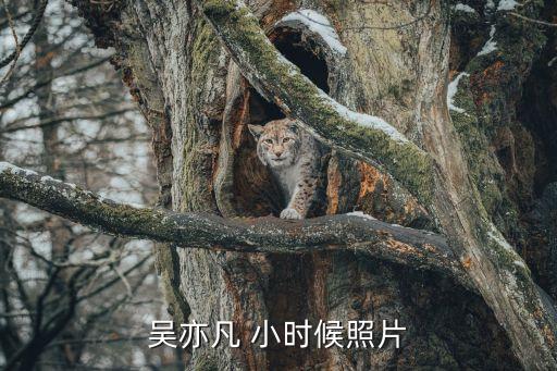 吳亦凡最新照片，吳亦凡高清圖片待機壁紙