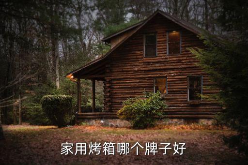 家用電烤箱排名，家用烤箱哪個牌子好