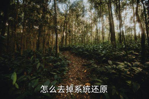 如何關(guān)閉系統(tǒng)還原，怎么去掉系統(tǒng)還原