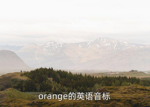 orange的英語音標