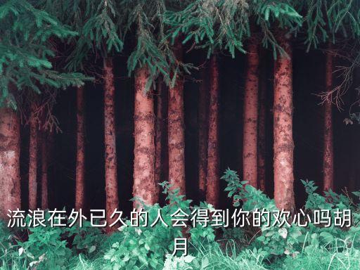 胡月，流浪在外已久的人會得到你的歡心嗎胡月