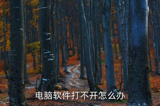 電腦應用打不開，電腦應用程序打不開