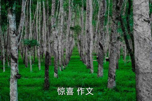 驚喜 作文