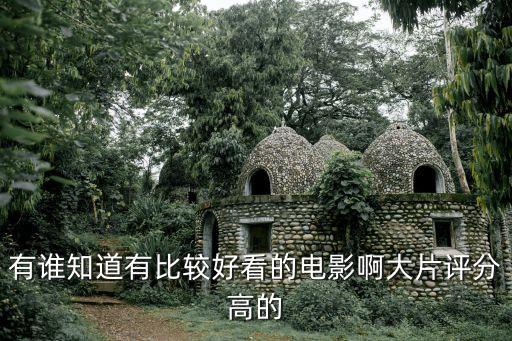 有誰知道有比較好看的電影啊大片評分高的