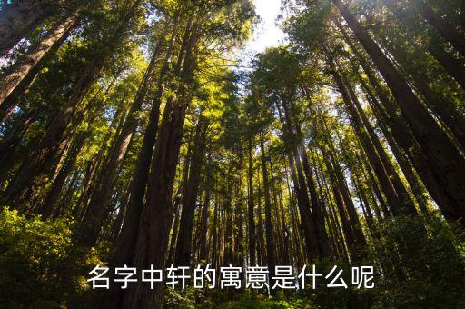 軒字取名的寓意，名字取軒的含義是什么