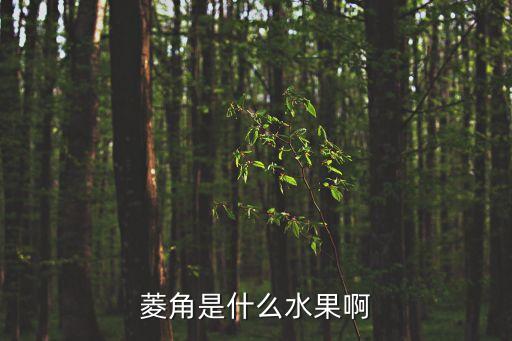 凌角，凌角可以煲排骨湯喝嗎