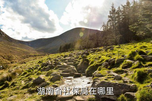 湖南社保，湖南省人力資源和社會(huì)保障廳