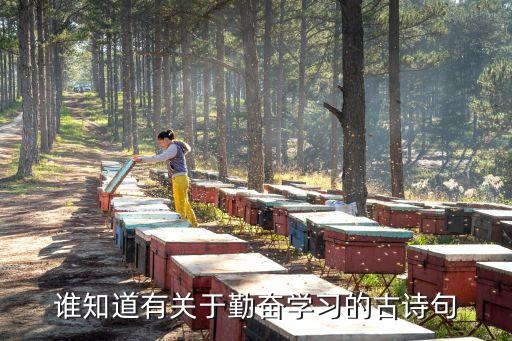 勤奮讀書(shū)的詩(shī)句，勤奮學(xué)習(xí)的詩(shī)句急