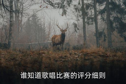大合唱評分標(biāo)準(zhǔn)，關(guān)于大合唱的評分制度