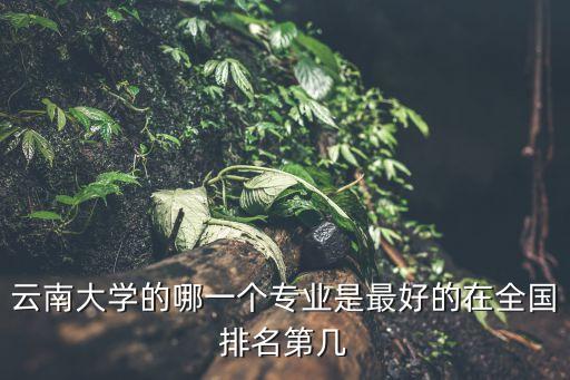 云南大學(xué)全國排名，云南大學(xué)的哪一個(gè)專業(yè)是最好的在全國排名第幾