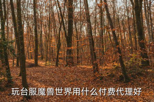 付費代理，最好用的收費代理
