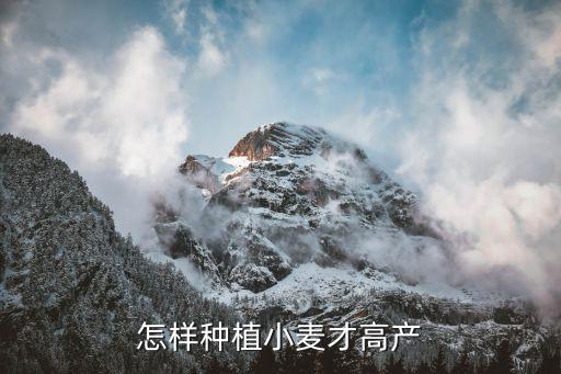 小麥種植技術，小麥的種植方法