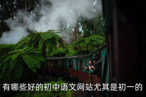 有哪些好的初中語文網站尤其是初一的