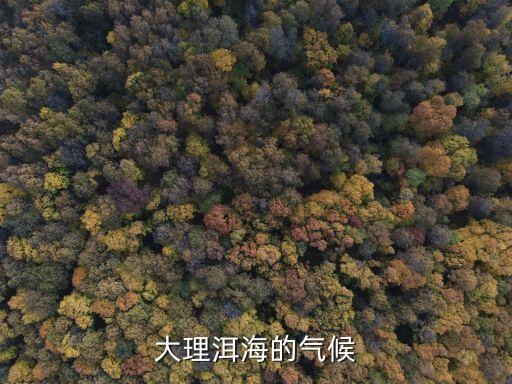 大理氣溫，云南大理的氣候怎樣適合居住嗎
