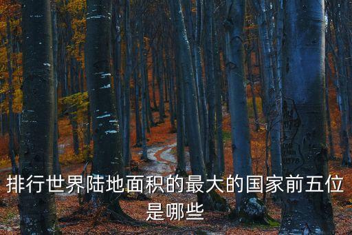 排行世界陸地面積的最大的國家前五位是哪些
