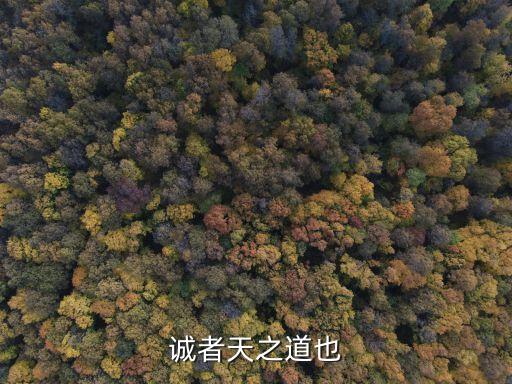 誠者天之道也