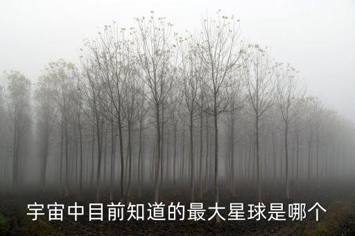 最大的星球排名，宇宙中什么星球最大