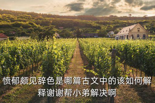 憤郁頗見辭色是哪篇古文中的該如何解釋謝謝幫小弟解決啊