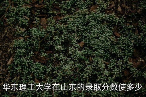 華東理工大學錄取分數線，2010年上海高考華東理工理科一本錄取分數線是多少