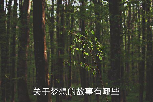 夢想的故事，關于夢想的故事有哪些