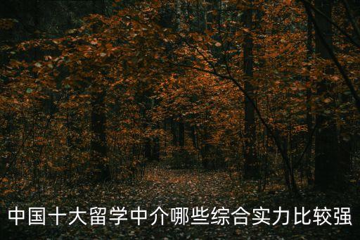 出國留學中介前十名，出國留學中介前十名有哪幾個