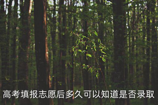 高考填報志愿后多久可以知道是否錄取