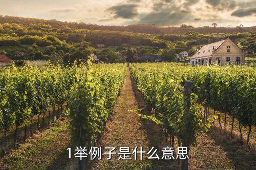 舉例子，誰有有關舉例子作比較打比方的句子急