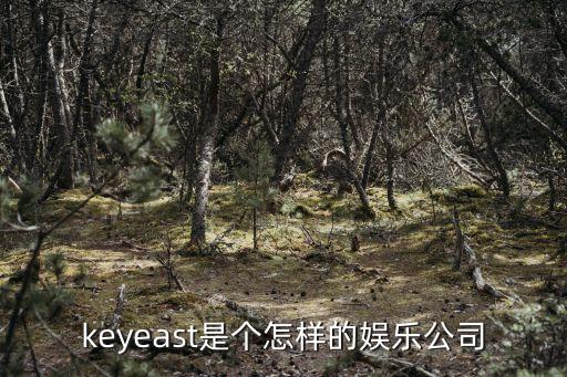 keyeast是個怎樣的娛樂公司