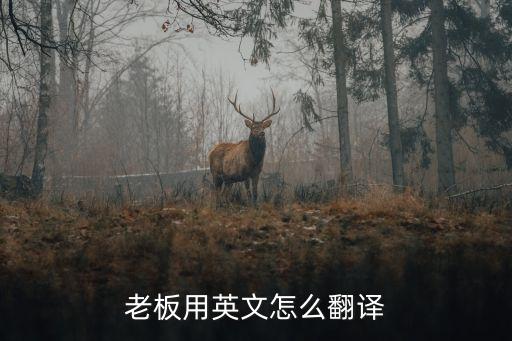 領導英文，領導的英文縮寫是什么