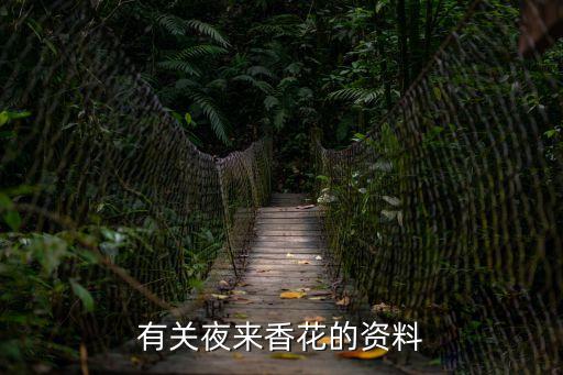 有關夜來香花的資料
