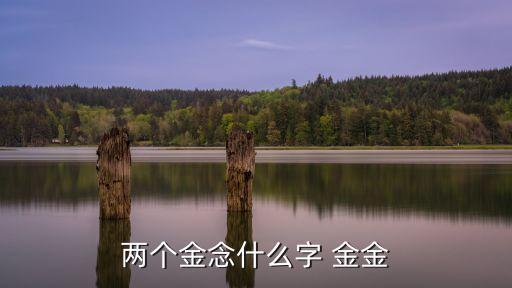 兩個金念什么字 金金