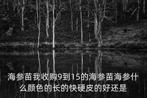 海參苗，海參苗我收購9到15的海參苗海參什么顏色的長的快硬皮的好還是