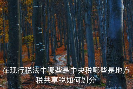 在現(xiàn)行稅法中哪些是中央稅哪些是地方稅共享稅如何劃分