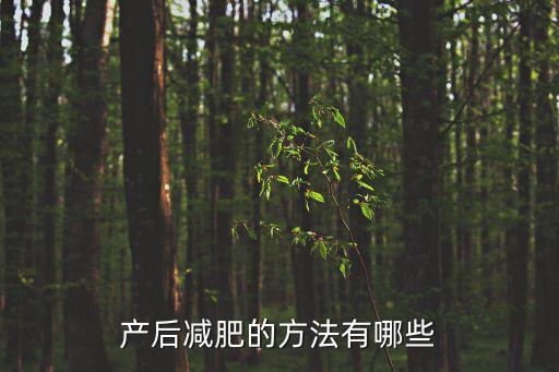 產(chǎn)婦減肥，產(chǎn)后減肥的減肥常識(shí)  百度寶寶知道