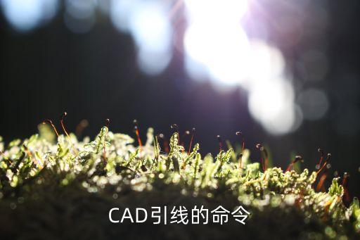 cad引線，CAD引線的命令
